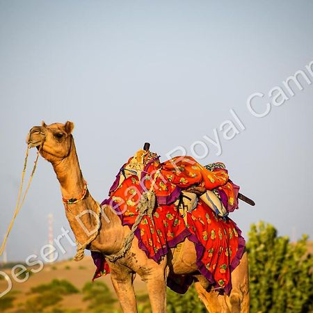 Desert Dream Royal Camp Otel Jaisalmer Dış mekan fotoğraf